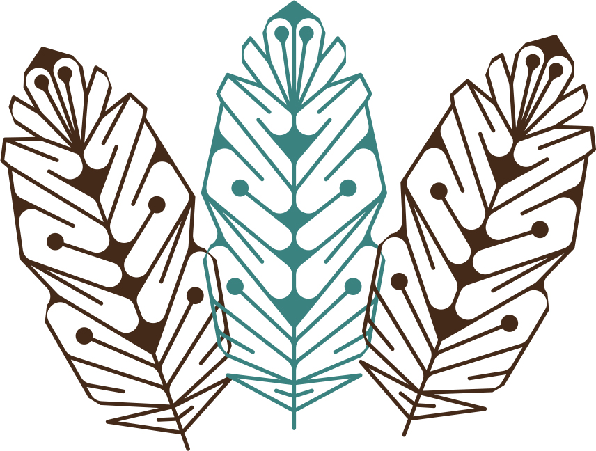 Walk and Write feathers